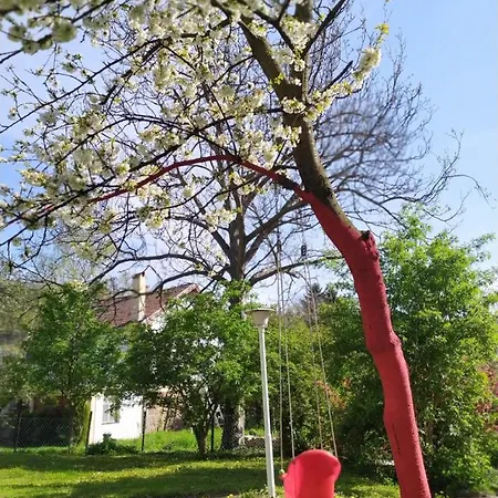 Sumski Raj- Forest Paradise