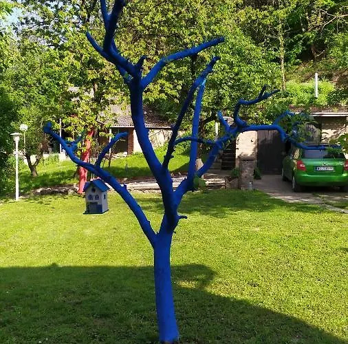 Sumski Raj- Forest Paradise *