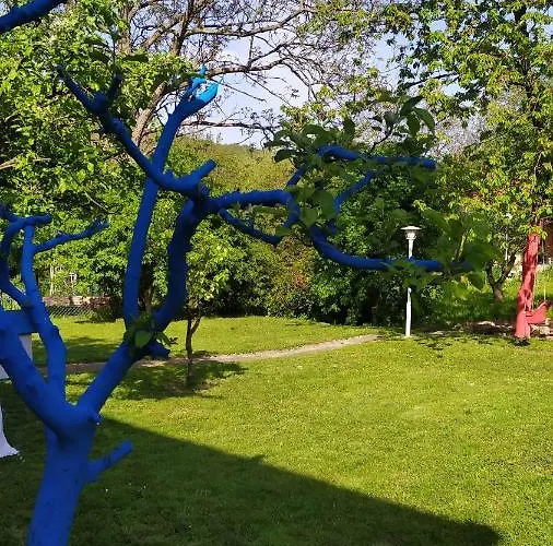 Дом отдыха Sumski Raj- Forest Paradise