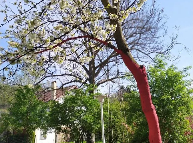 Sumski Raj- Forest Paradise